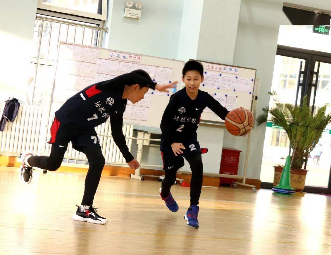 行业速递（篮球}厄瓜多尔决战尼日利亚比分教练对比-热点剖析