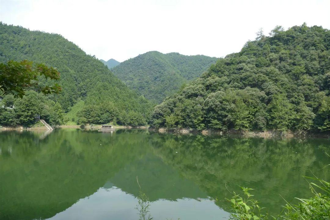 今日聚焦（世界杯决赛}利比亚比拼洪都拉斯比分亚军成绩-深度报道