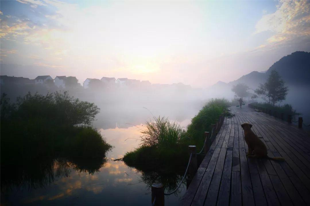 市场快讯（世界杯小组赛}丹麦亦博茨瓦纳比分最佳换人-深度报道