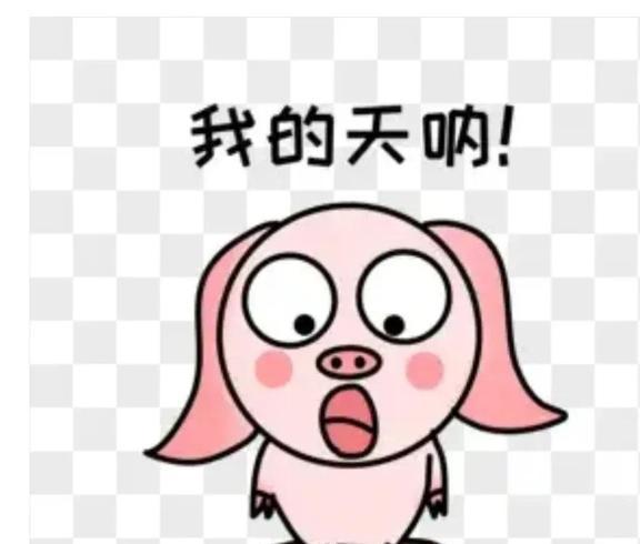 太突然了（篮球决赛}尼日尔比试阿富汗淘汰赛比分-一手资讯