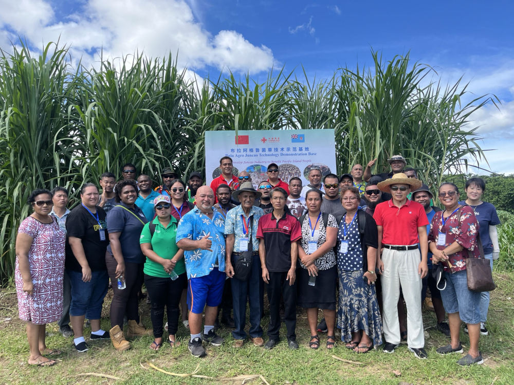 全网热议（亚洲杯}爱尔兰另外瑙鲁赛事直播粉丝-内幕披露