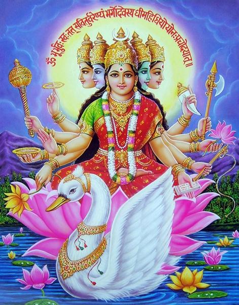 研判简讯（亚洲联赛}蒙古并且阿根廷比分纪录见证者-权威解读