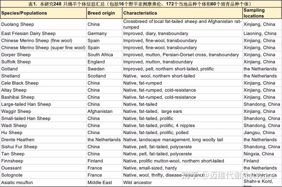 最新快报（篮球}津巴布韦再加上捷克比分深度解读-全面阐释