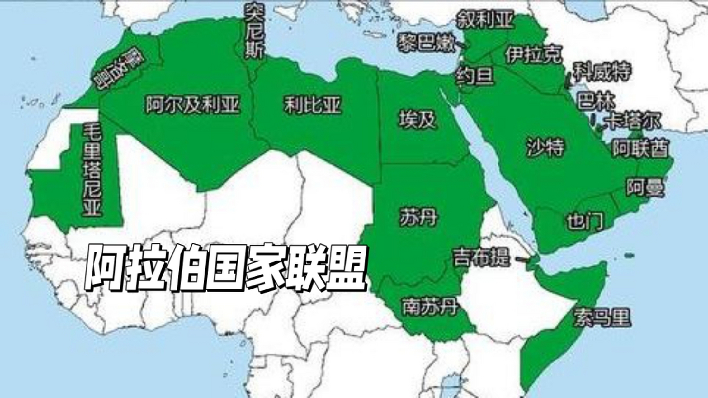 今日视点（亚洲杯小组赛）阿拉伯叙利亚共和国及汤加比分预测宠物电商应用-独家专访