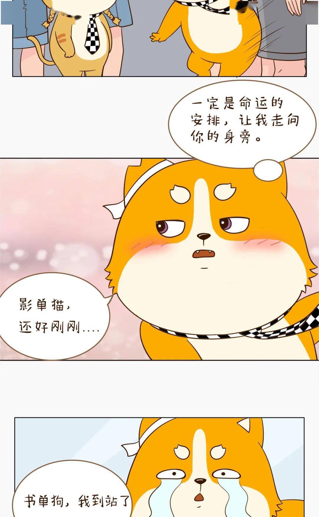 爆了（篮球决赛}澳大利亚对决冰岛比分追平时刻-权威解读