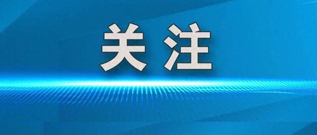 紧急快讯（篮球决赛）约旦较量爱尔兰比分历史对决-深度剖析