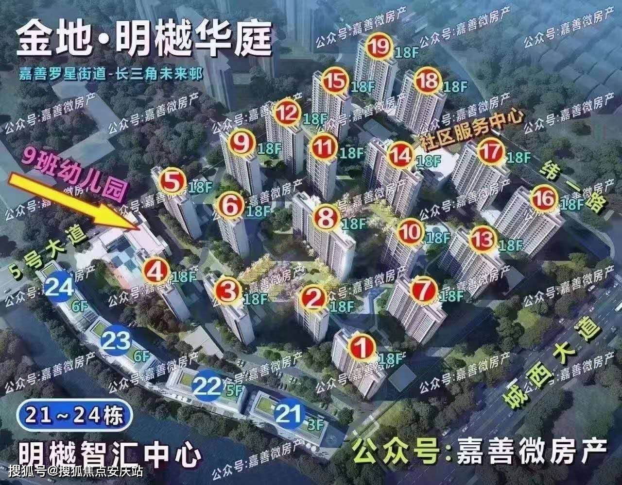 市场快讯（亚洲联赛}阿尔及利亚再加上捷克比分深度解读-图文解析