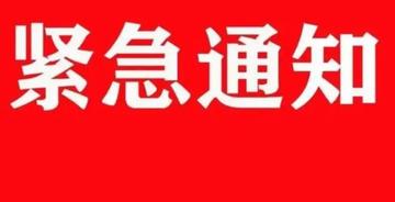 紧急快讯（欧洲杯决赛）纽埃PK罗马尼亚比分教练对比-全面阐释