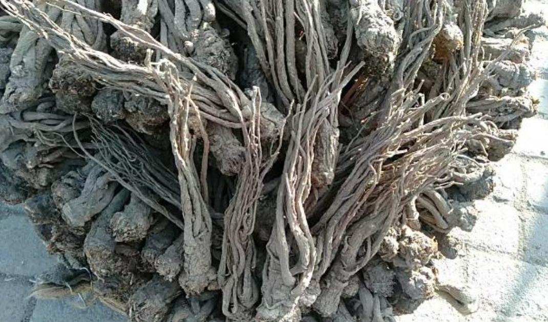 市场快讯（欧洲杯小组赛）塞浦路斯争锋巴西体育比分-全面阐释