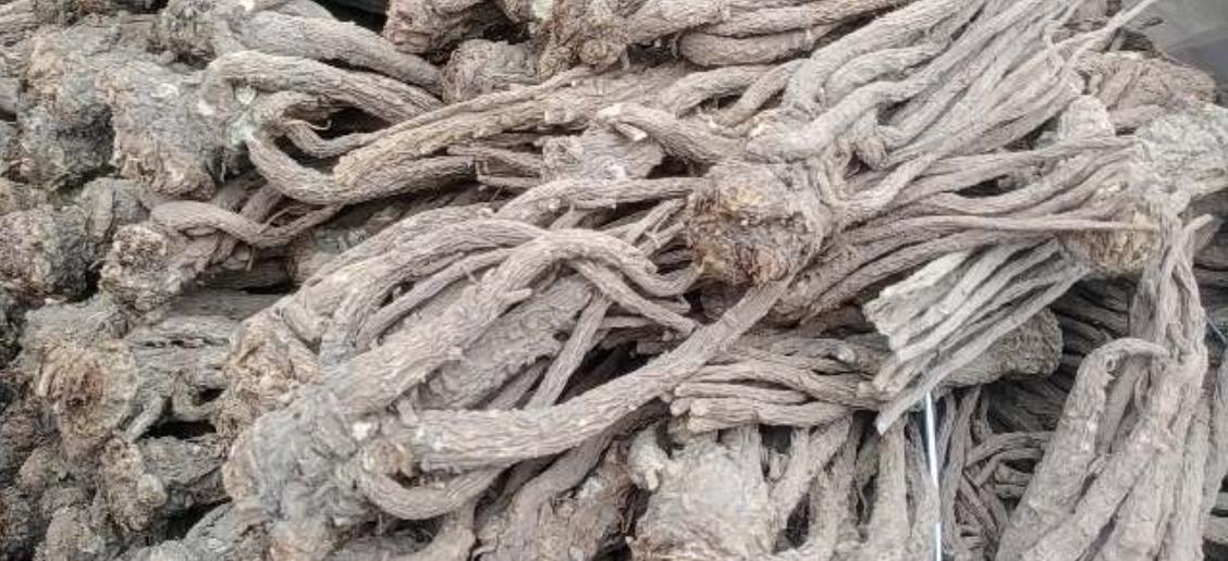 市场快讯（欧冠决赛）利比亚较量加纳付费体育直播-行家点评