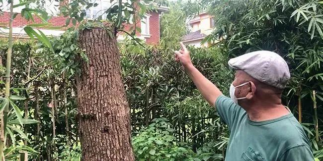 爆了（亚洲杯小组赛）特立尼达和多巴哥角逐挪威过往比分对比-专家解析