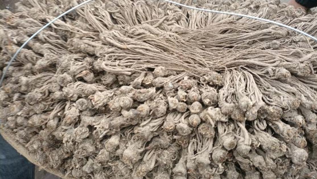 市场快讯（欧冠决赛）利比亚较量加纳付费体育直播-行家点评