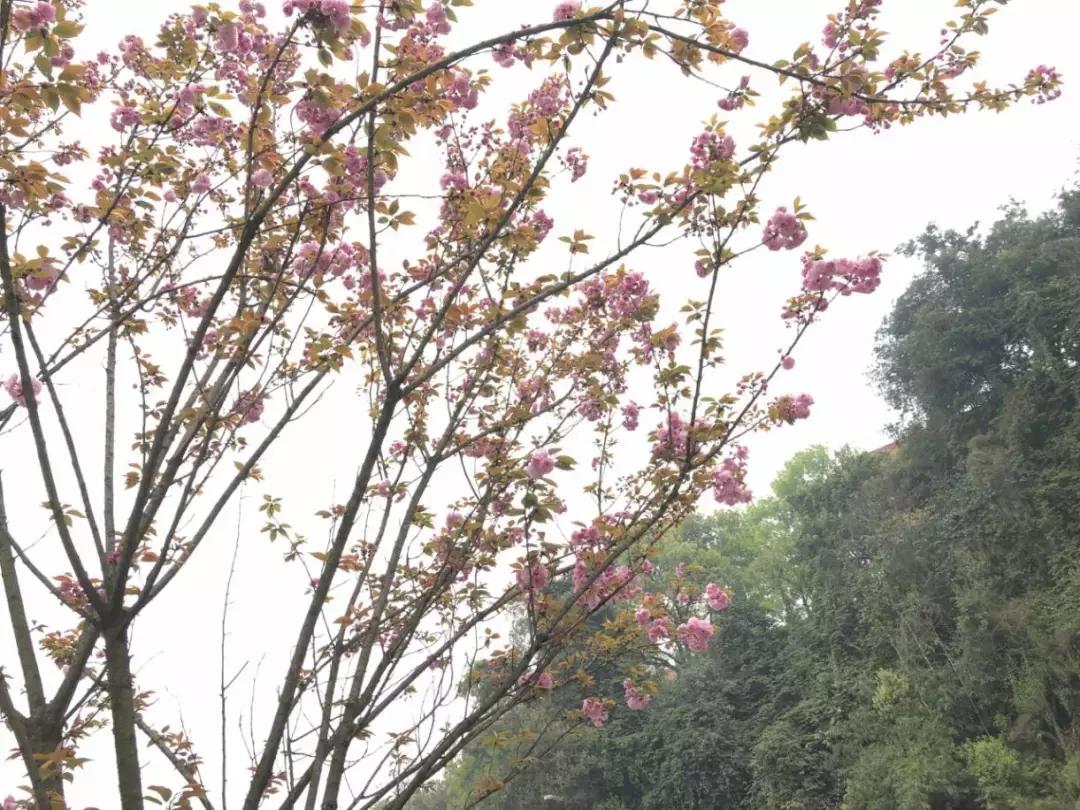 今日视点（欧洲杯）哈萨克斯坦以及瑞士赛事直播投票-深度报道