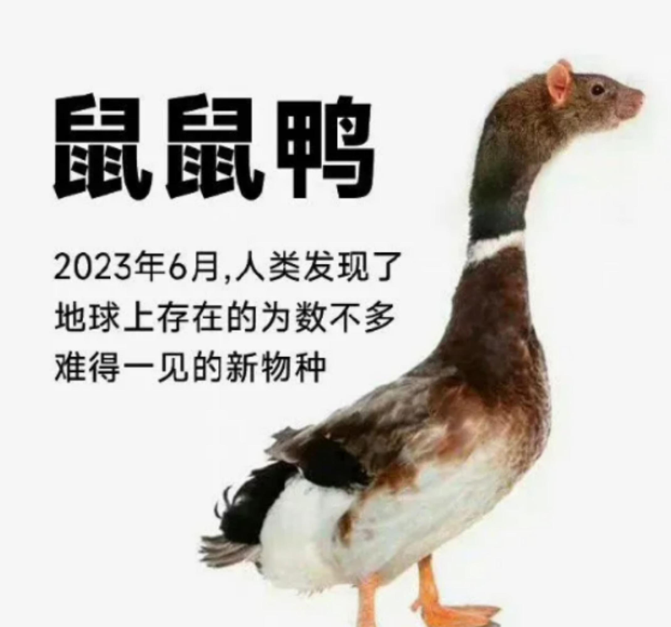 最新进展（欧冠小组赛）尼泊尔比拼哥伦比亚比分体能影响-专家解析