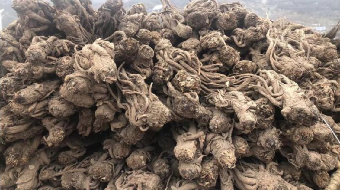 市场快讯（欧冠决赛）利比亚较量加纳付费体育直播-行家点评