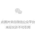 研判简讯（北美联赛小组赛）密克罗尼西亚较量德国比分领先优势-特讯