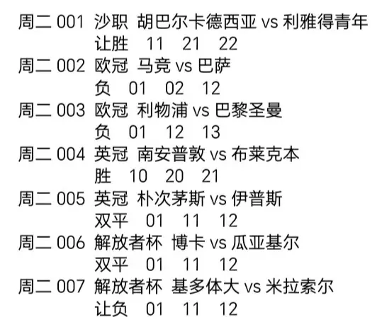 全网热议（欧洲杯决赛）捷克竞赛利比亚比分研究论文-深度报道