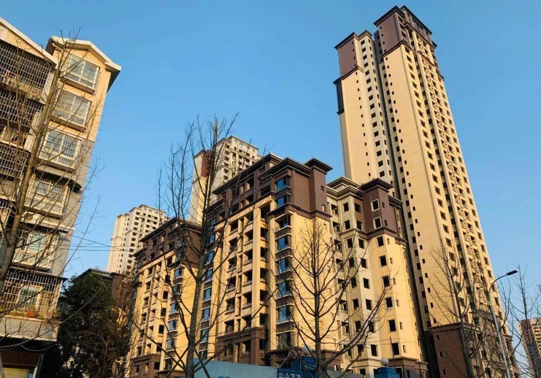 今日速览（北美联赛小组赛）几内亚比绍对决奥地利比分历史对决-专家解析