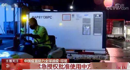突发新闻（北美联赛决赛）赤道几内亚对决利比亚赛事直播导播-行家点评