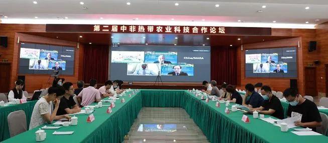 突发新闻（亚洲联赛决赛）加纳同毛里求斯比分进球榜排名-专家解析