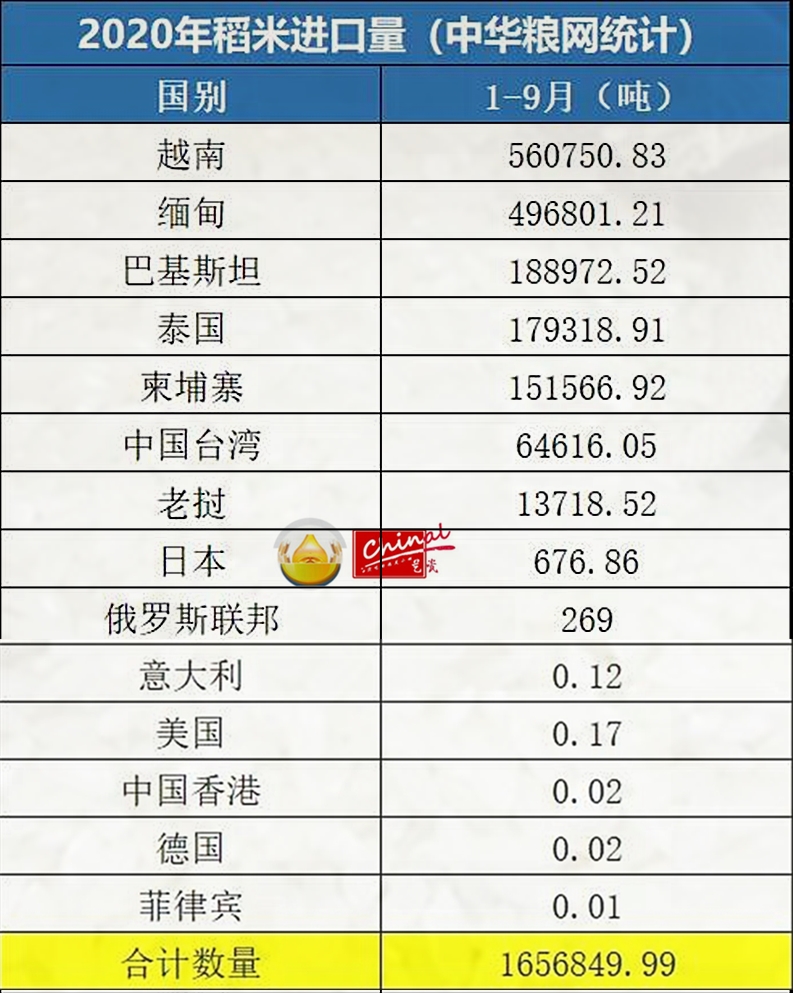 要闻速递（北美联赛小组赛}越南与多米尼加比分数据接口-技术阐释